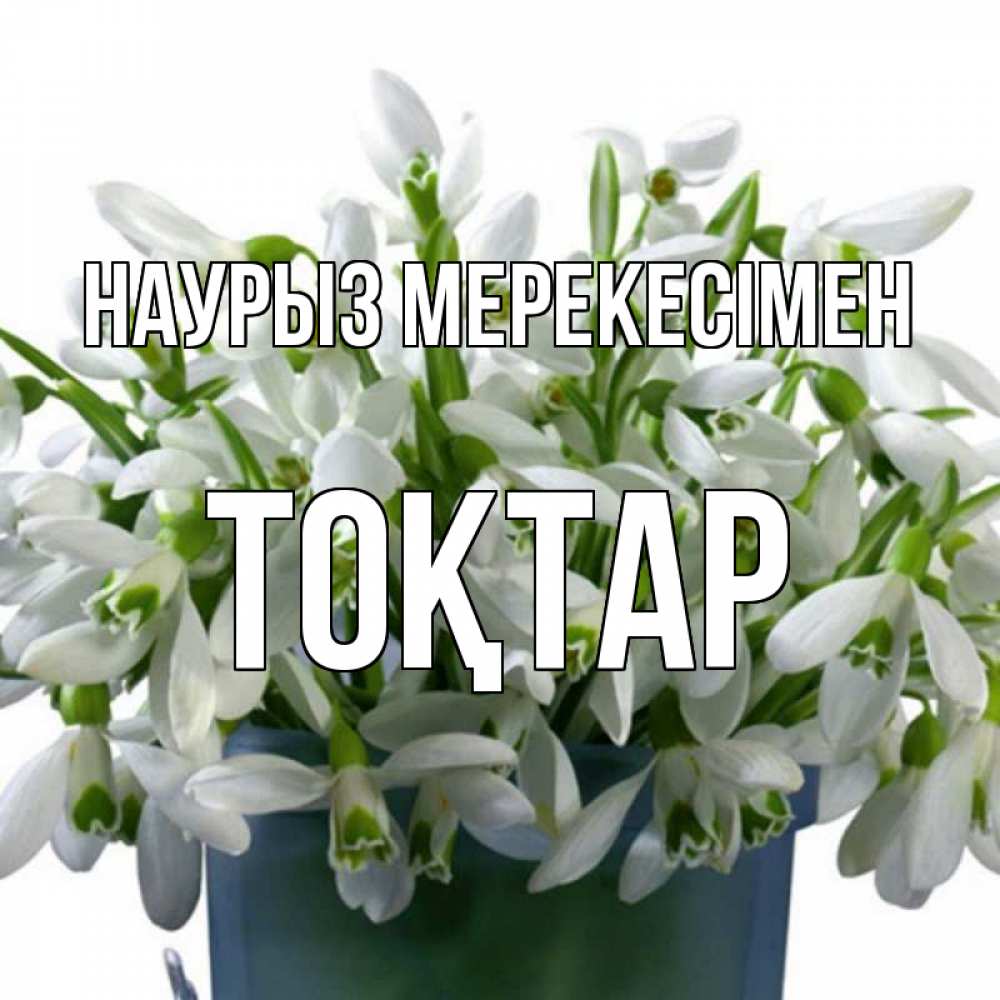 Күн сайын ашық хат с именем, ТОҚТАР Наурыз мерекесімен цветы к наурызу новый год в Казахстане Онлайн тегін жүктеп алу тілектері бар керемет карта 