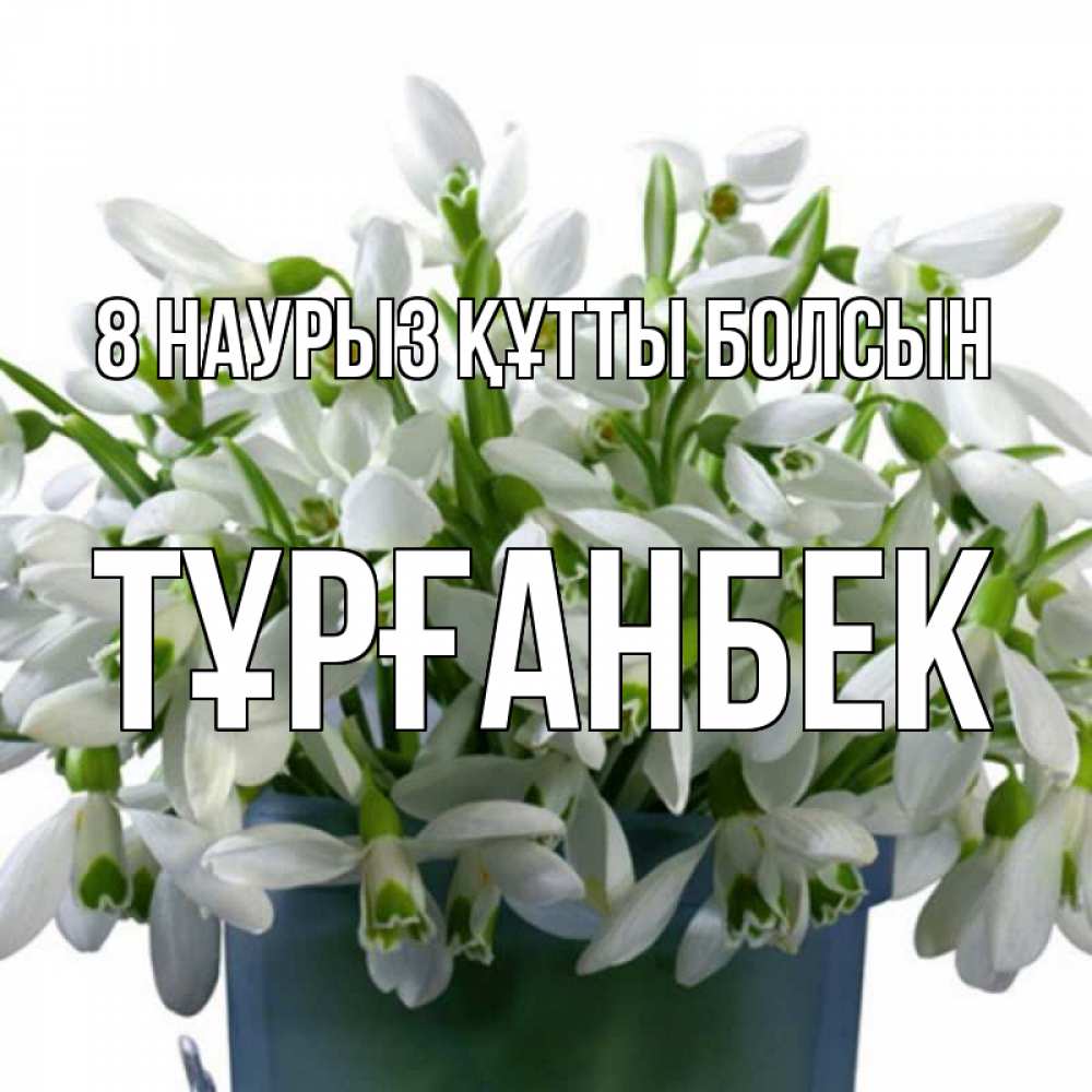 Күн сайын ашық хат с именем, ТҰРҒАНБЕК 8 наурыз құтты болсын цветы к международному женскому дню Онлайн тегін жүктеп алу тілектері бар керемет карта 