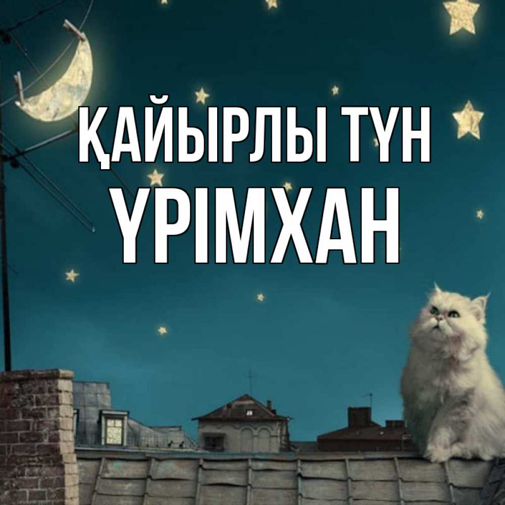Күн сайын ашық хат с именем, Үрімхан Қайырлы түн белый кот сидит на крыше Онлайн тегін жүктеп алу тілектері бар керемет карта 