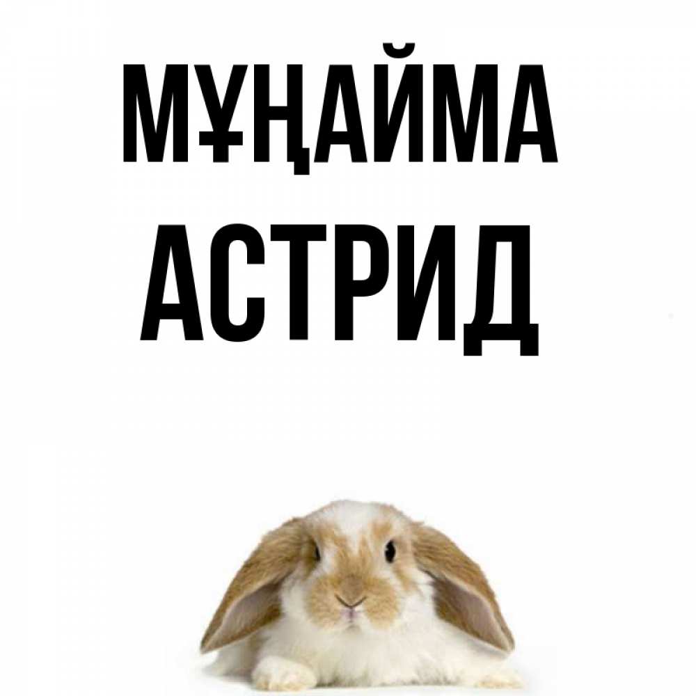 Күн сайын ашық хат с именем, Астрид Мұңайма коричнево белый заяц с большими ушками Онлайн тегін жүктеп алу тілектері бар керемет карта 