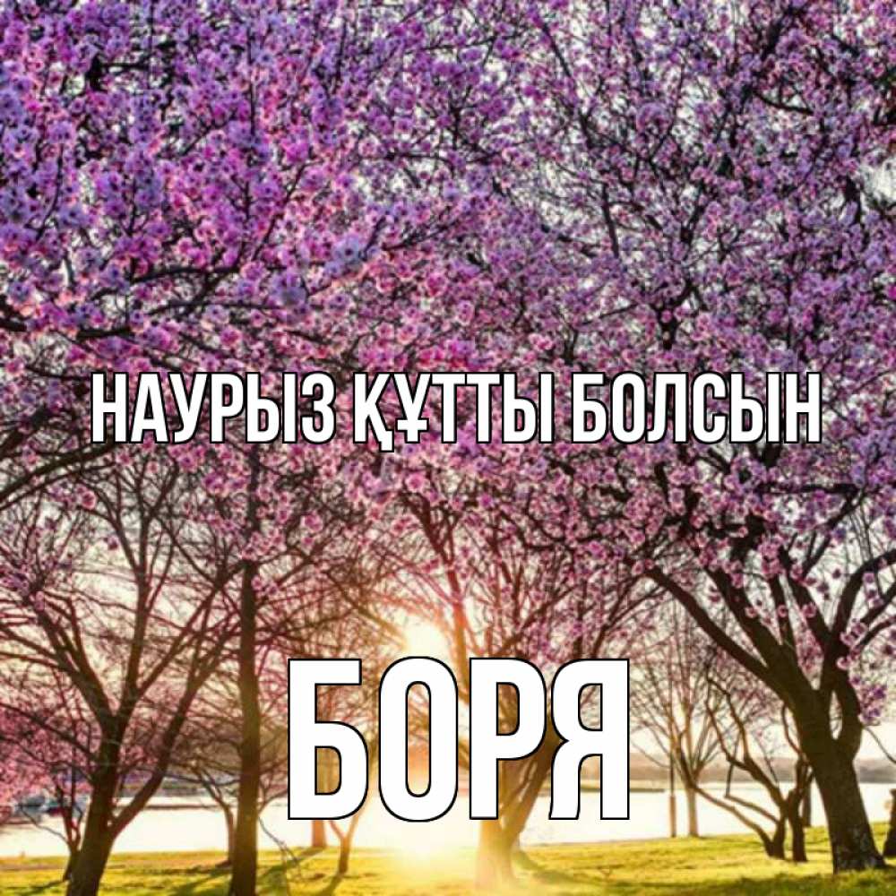 Күн сайын ашық хат с именем, Боря Наурыз құтты болсын наурыз Онлайн тегін жүктеп алу тілектері бар керемет карта 