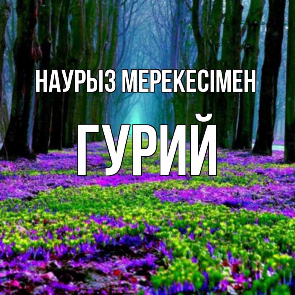 Күн сайын ашық хат с именем, Гурий Наурыз мерекесімен фиолетовые цветы в лесу 1 Онлайн тегін жүктеп алу тілектері бар керемет карта 