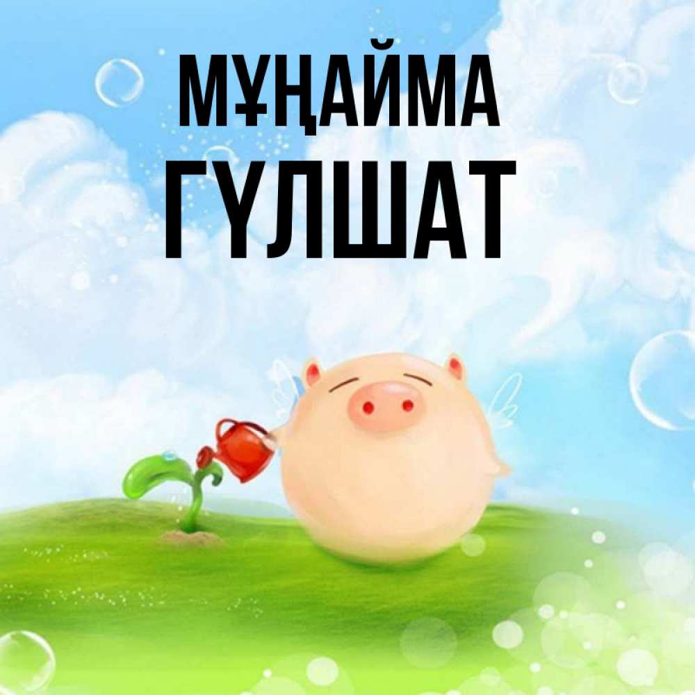 Күн сайын ашық хат с именем, ГҮЛШАТ Мұңайма поливает цветок порося Онлайн тегін жүктеп алу тілектері бар керемет карта 