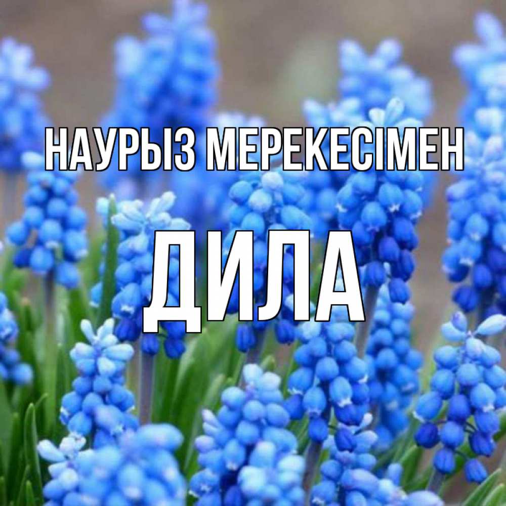 Күн сайын ашық хат с именем, ДИЛА Наурыз мерекесімен Поздравительная открытка для женщин с цветами на праздничную дату Онлайн тегін жүктеп алу тілектері бар керемет карта 