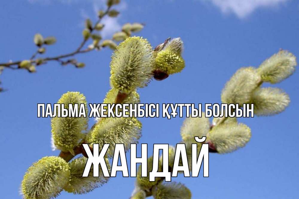 Күн сайын ашық хат с именем, Жандай Пальма жексенбісі құтты болсын верба Онлайн тегін жүктеп алу тілектері бар керемет карта 