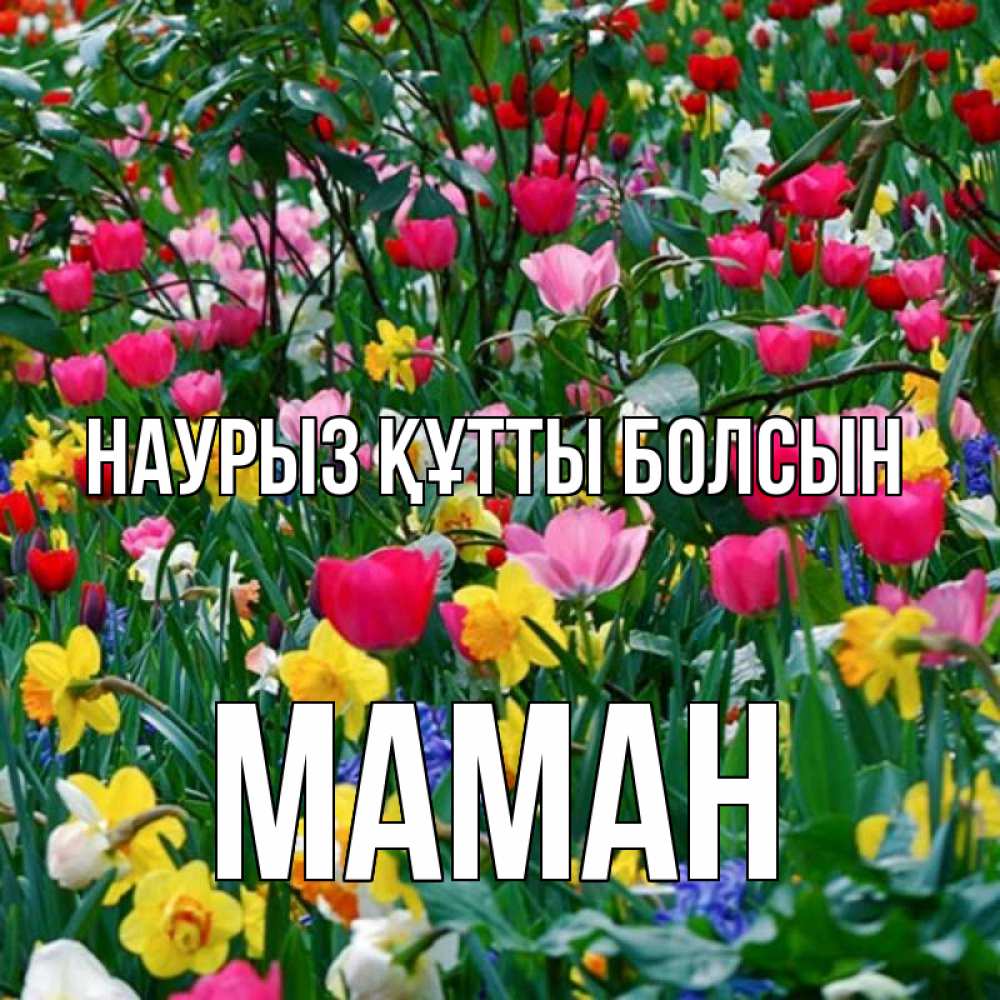 Күн сайын ашық хат с именем, МАМАН Наурыз құтты болсын с наурызом поздравления для женщины Онлайн тегін жүктеп алу тілектері бар керемет карта 