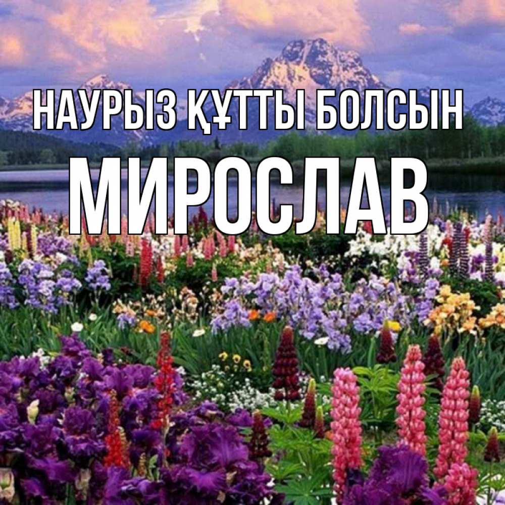 Күн сайын ашық хат с именем, Мирослав Наурыз құтты болсын наурыз Онлайн тегін жүктеп алу тілектері бар керемет карта 