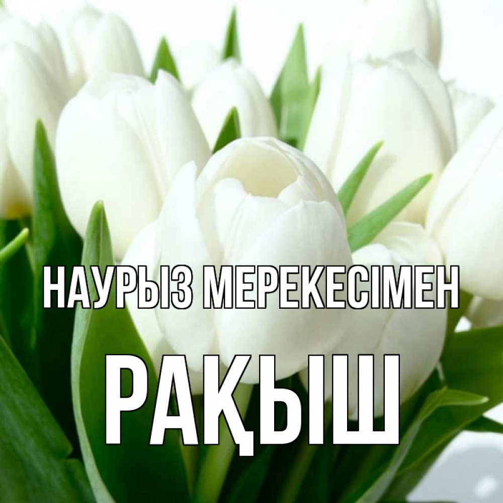 Күн сайын ашық хат с именем, Рақыш Наурыз мерекесімен цветы Онлайн тегін жүктеп алу тілектері бар керемет карта 