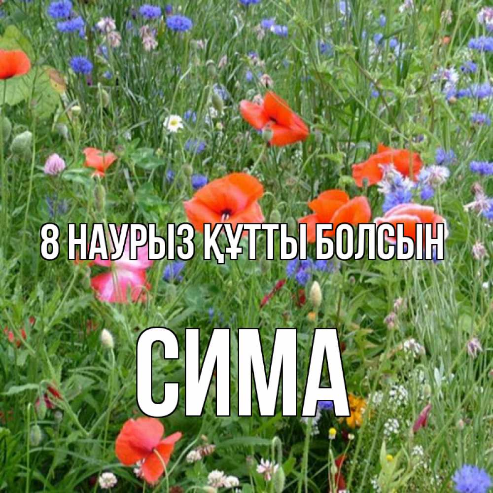 Күн сайын ашық хат с именем, Сима 8 наурыз құтты болсын международный женский день 4 Онлайн тегін жүктеп алу тілектері бар керемет карта 