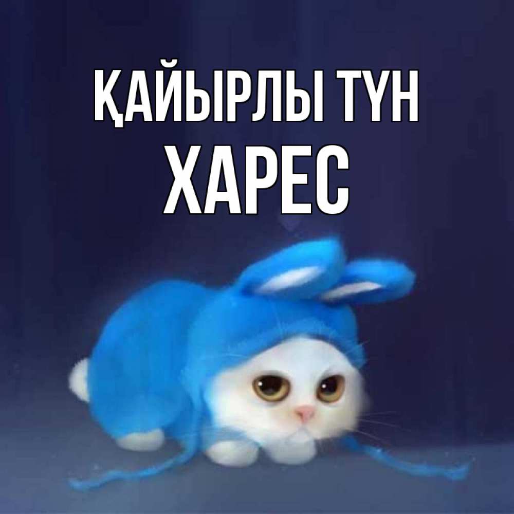 Күн сайын ашық хат с именем, ХАРЕС Қайырлы түн кот в голубом костюме кролика с ушками Онлайн тегін жүктеп алу тілектері бар керемет карта 