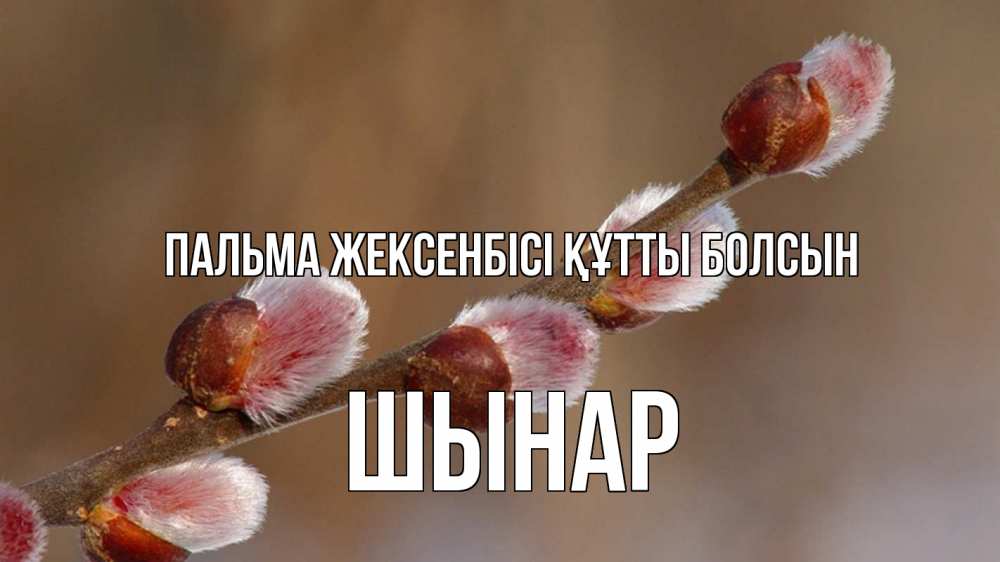 Күн сайын ашық хат с именем, ШЫНАР Пальма жексенбісі құтты болсын верба Онлайн тегін жүктеп алу тілектері бар керемет карта 