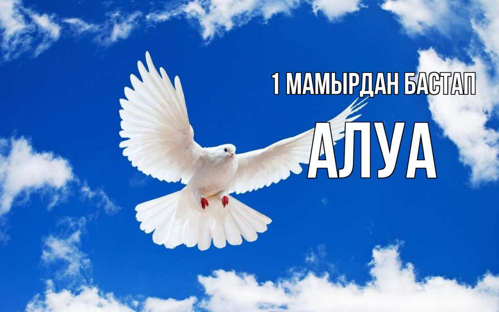 Күн сайын ашық хат с именем, АЛУА 1 мамырдан бастап С 1 мая 1 Онлайн тегін жүктеп алу тілектері бар керемет карта 