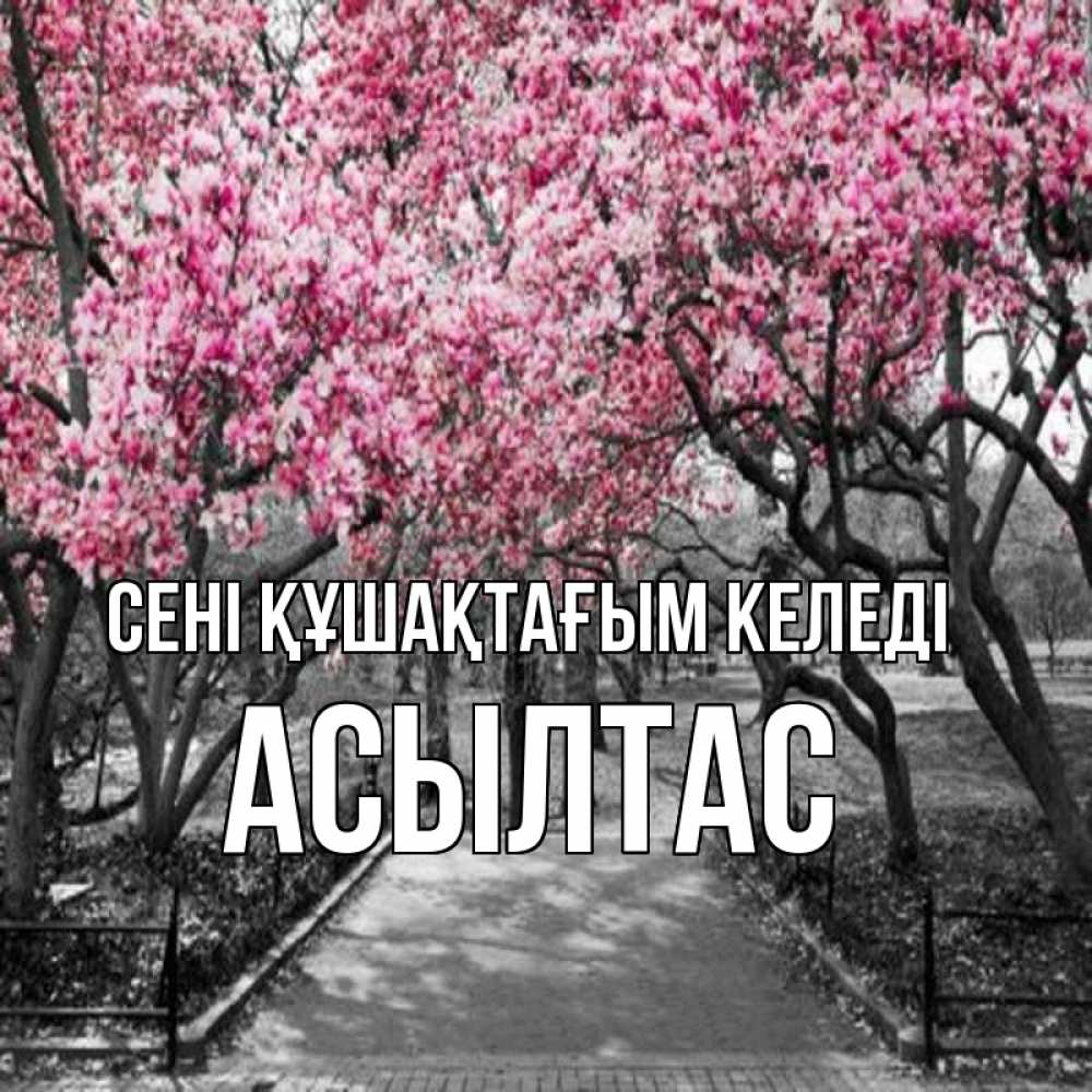 Күн сайын ашық хат с именем, АСЫЛТАС сені құшақтағым келеді обработанное фото Онлайн тегін жүктеп алу тілектері бар керемет карта 