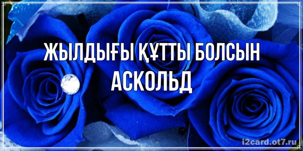Күн сайын ашық хат с именем, Аскольд Жылдығы құтты болсын синие розы в росе Онлайн тегін жүктеп алу тілектері бар керемет карта 
