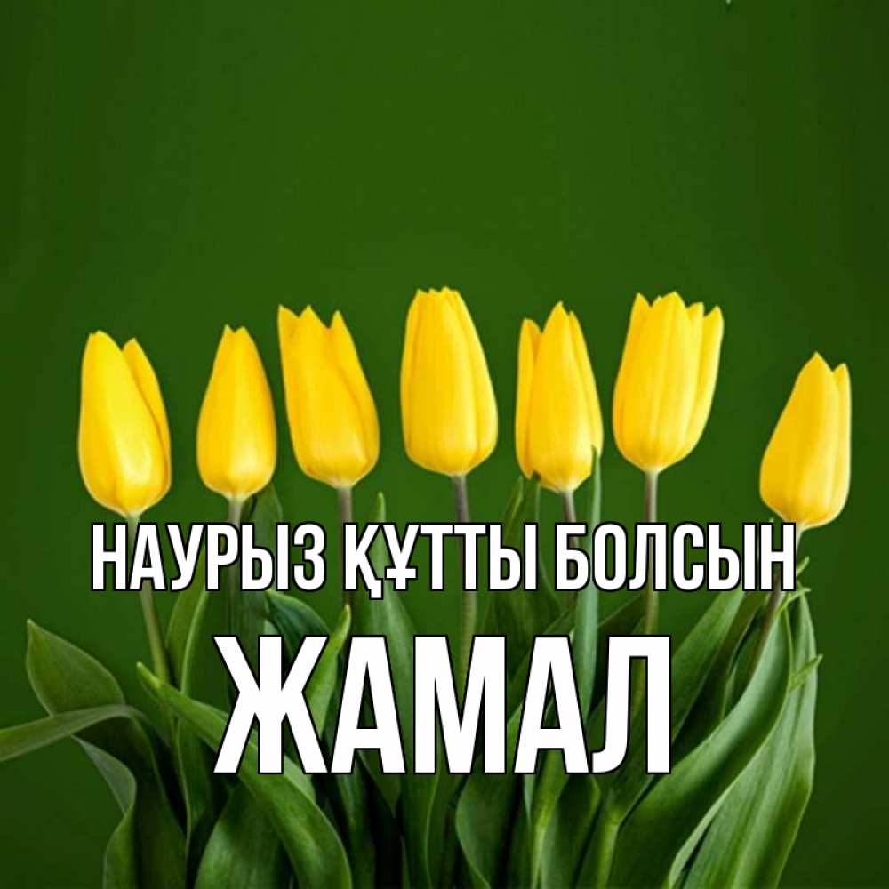 Күн сайын ашық хат с именем, ЖАМАЛ Наурыз құтты болсын желтого цвета 3 Онлайн тегін жүктеп алу тілектері бар керемет карта 