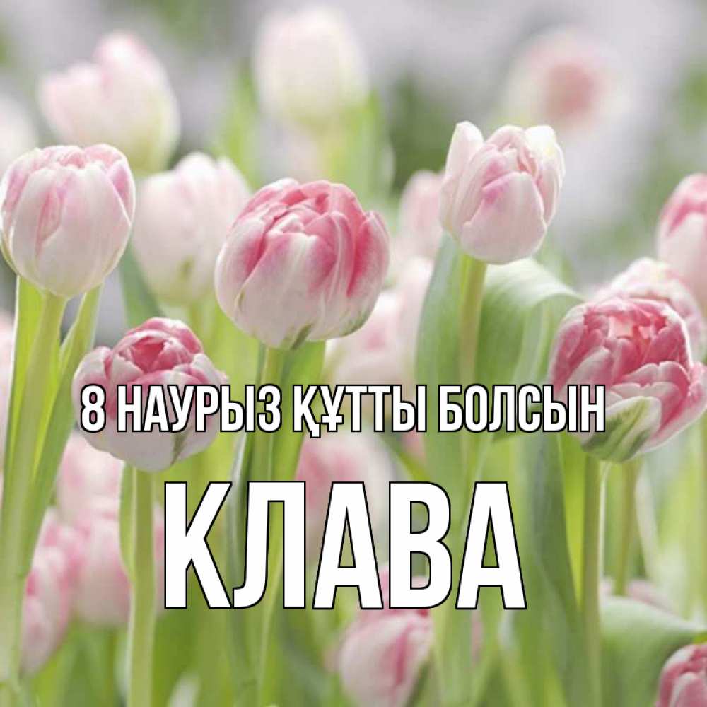 Күн сайын ашық хат с именем, Клава 8 наурыз құтты болсын цветы Онлайн тегін жүктеп алу тілектері бар керемет карта 