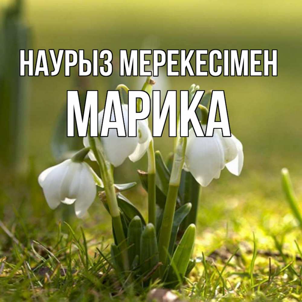 Күн сайын ашық хат с именем, Марика Наурыз мерекесімен ранние цветы 2 Онлайн тегін жүктеп алу тілектері бар керемет карта 
