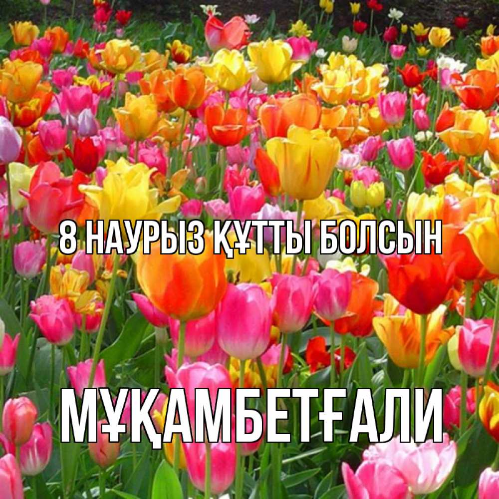 Күн сайын ашық хат с именем, Мұқамбетғали 8 наурыз құтты болсын на международный женский день Онлайн тегін жүктеп алу тілектері бар керемет карта 