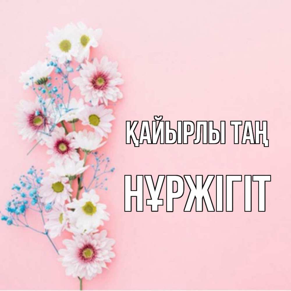 Күн сайын ашық хат с именем, НҰРЖІГІТ Қайырлы таң цветы с подписью Онлайн тегін жүктеп алу тілектері бар керемет карта 