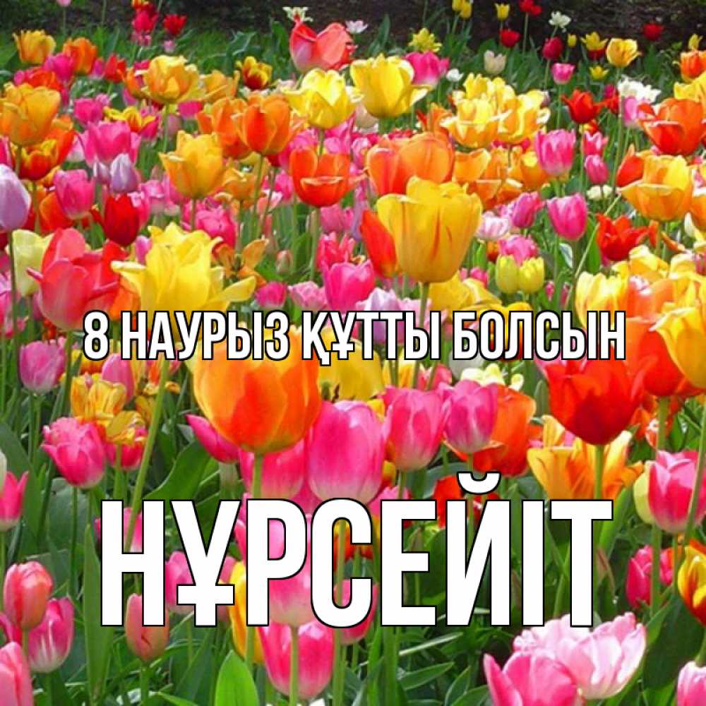 Күн сайын ашық хат с именем, НҰРСЕЙІТ 8 наурыз құтты болсын на международный женский день Онлайн тегін жүктеп алу тілектері бар керемет карта 