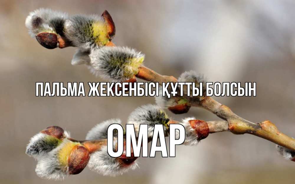 Күн сайын ашық хат с именем, ОМАР Пальма жексенбісі құтты болсын Верба Онлайн тегін жүктеп алу тілектері бар керемет карта 
