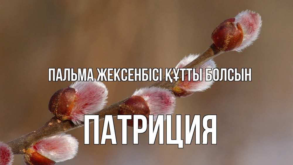 Күн сайын ашық хат с именем, Патриция Пальма жексенбісі құтты болсын верба Онлайн тегін жүктеп алу тілектері бар керемет карта 