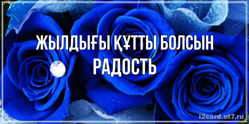 Күн сайын ашық хат с именем, Радость Жылдығы құтты болсын синие розы в росе Онлайн тегін жүктеп алу тілектері бар керемет карта 