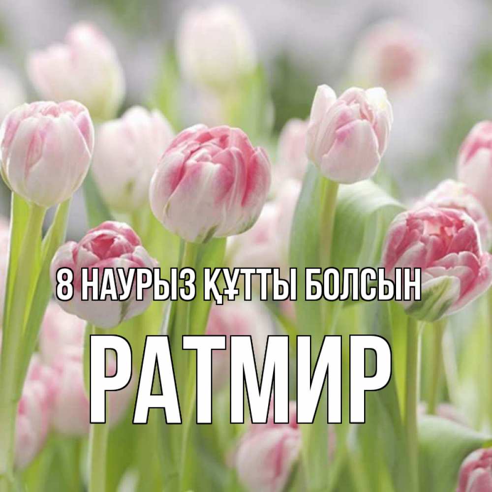 Күн сайын ашық хат с именем, Ратмир 8 наурыз құтты болсын цветы Онлайн тегін жүктеп алу тілектері бар керемет карта 