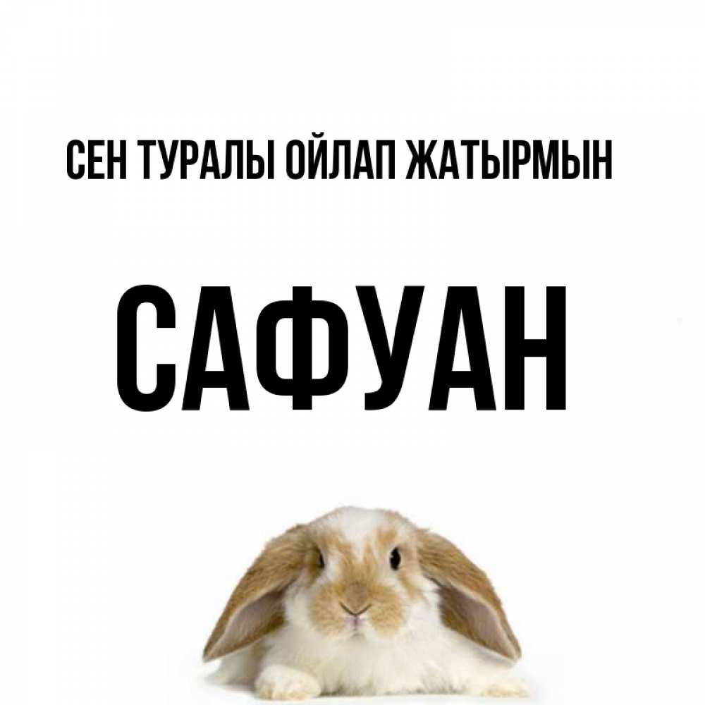 Күн сайын ашық хат с именем, САФУАН Сен туралы ойлап жатырмын подписать своими руками онлайн Онлайн тегін жүктеп алу тілектері бар керемет карта 