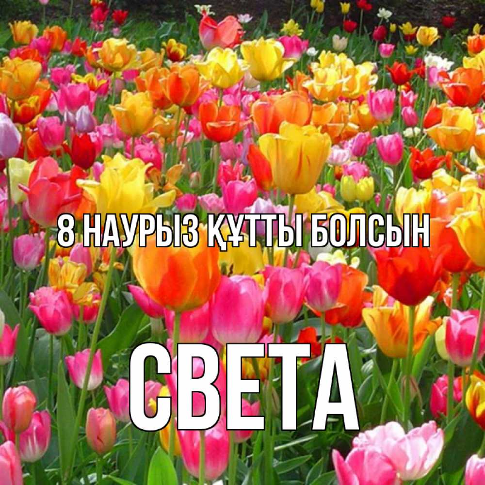 Күн сайын ашық хат с именем, Света 8 наурыз құтты болсын на международный женский день Онлайн тегін жүктеп алу тілектері бар керемет карта 