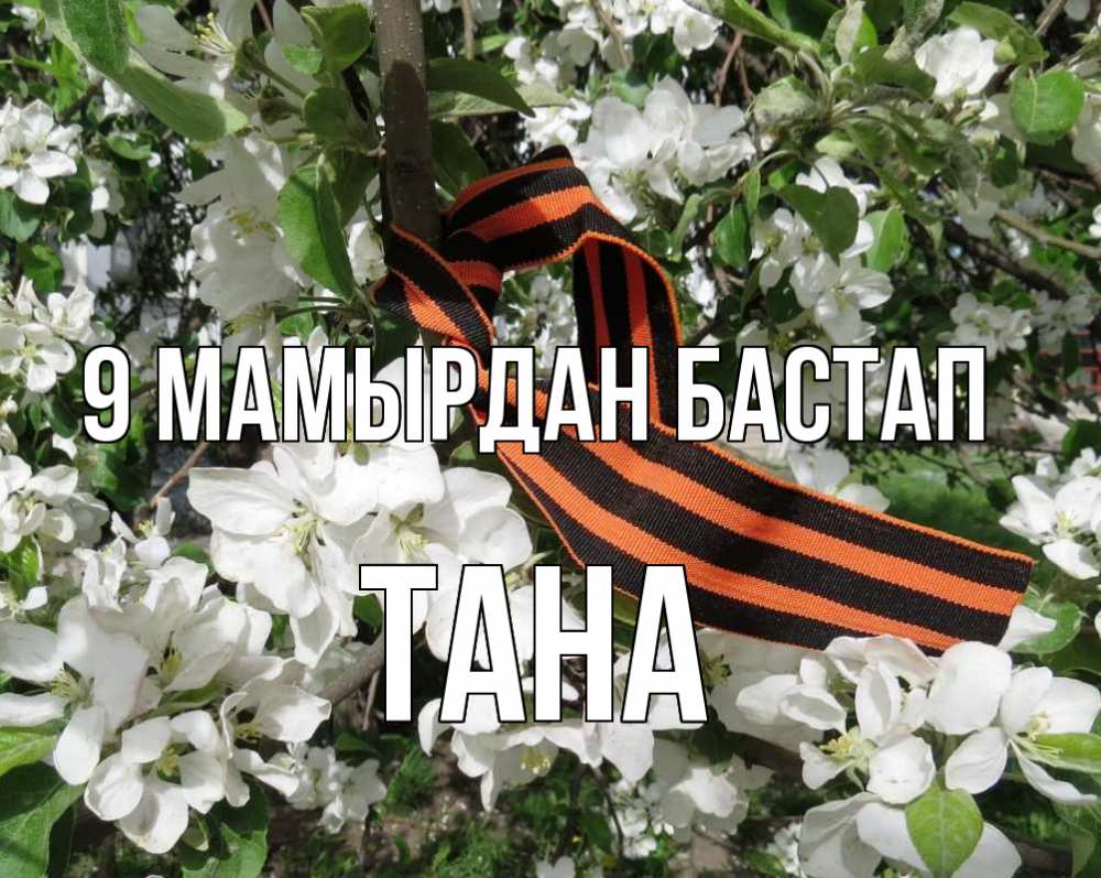 Күн сайын ашық хат с именем, ТАНА 9 мамырдан бастап 9 мая Онлайн тегін жүктеп алу тілектері бар керемет карта 