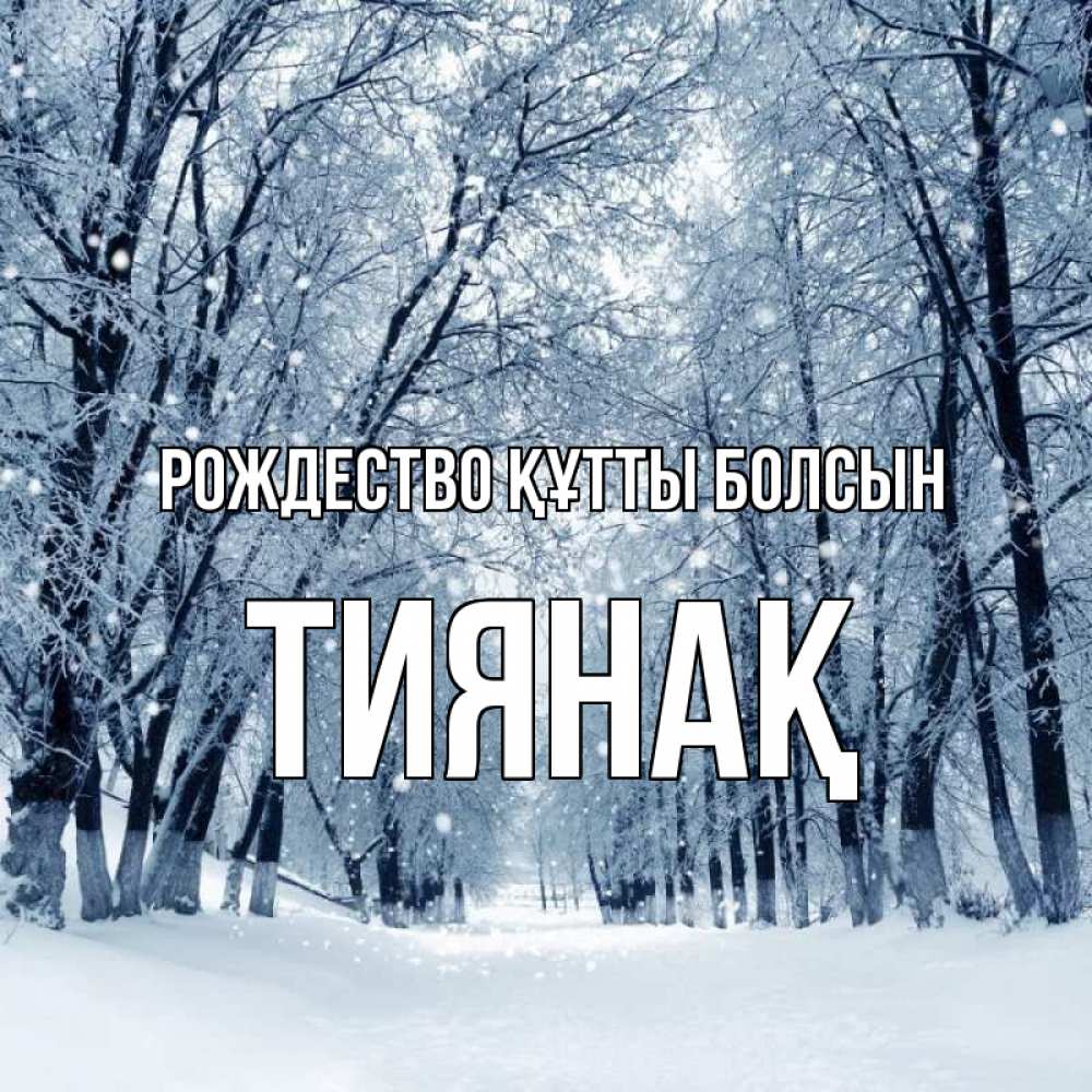 Күн сайын ашық хат с именем, ТИЯНАҚ Рождество құтты болсын снег, лес, парк Онлайн тегін жүктеп алу тілектері бар керемет карта 