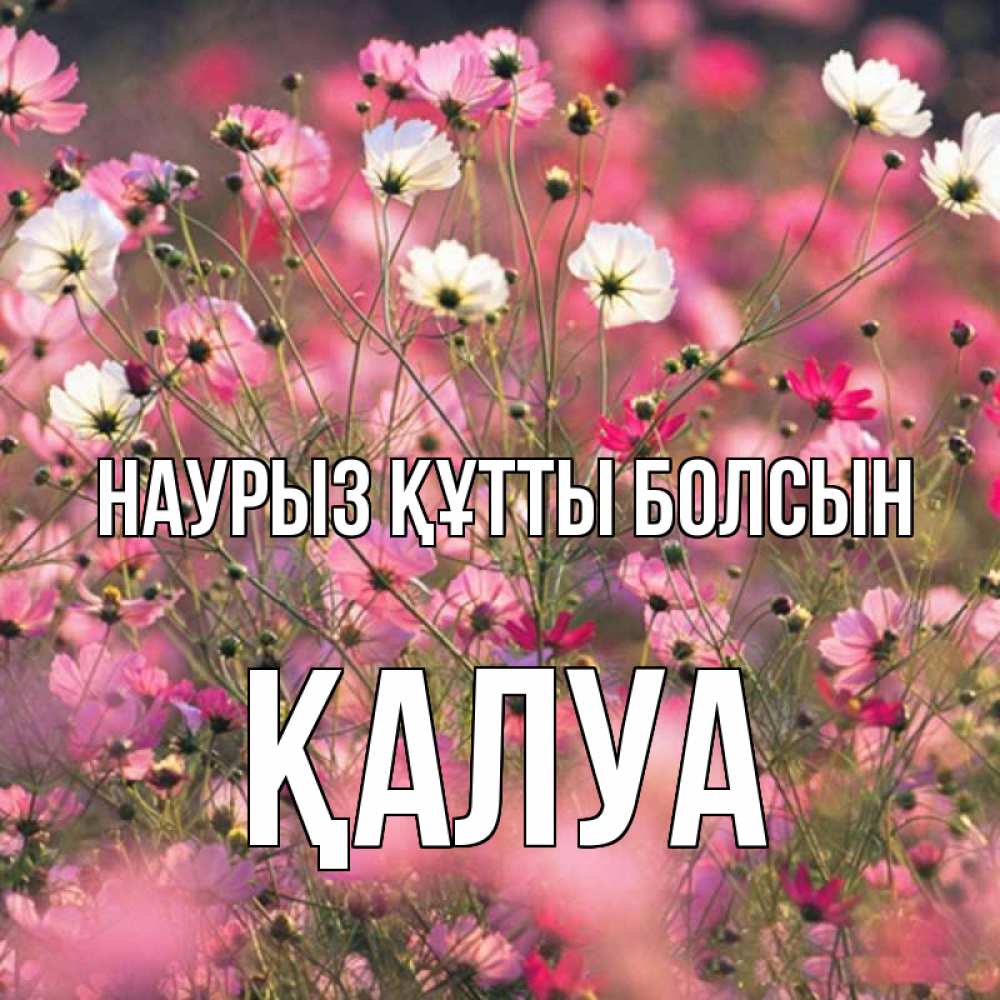 Күн сайын ашық хат с именем, ҚАЛУА Наурыз құтты болсын красиво 1 Онлайн тегін жүктеп алу тілектері бар керемет карта 