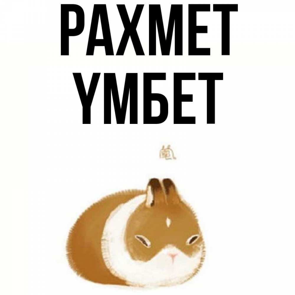 Күн сайын ашық хат с именем, ҮМБЕТ рахмет коричнево белый домашний питомец Онлайн тегін жүктеп алу тілектері бар керемет карта 