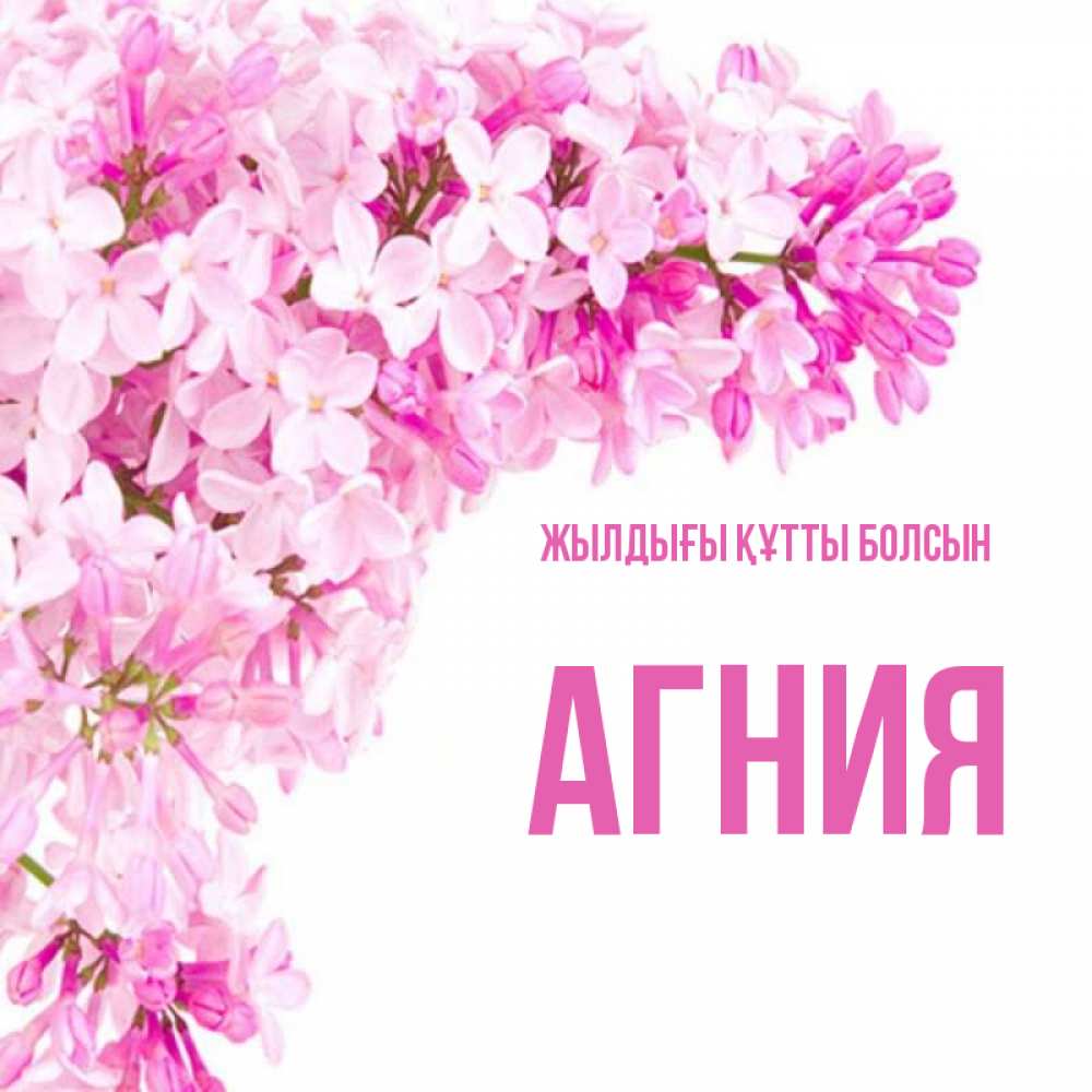 Күн сайын ашық хат с именем, Агния Жылдығы құтты болсын Сирень на белом фоне Онлайн тегін жүктеп алу тілектері бар керемет карта 