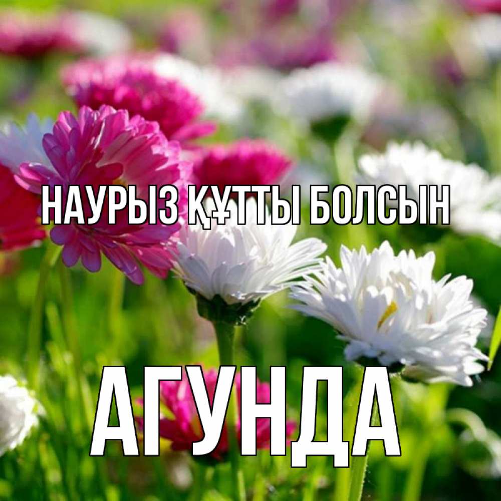Күн сайын ашық хат с именем, Агунда Наурыз құтты болсын наурыз Онлайн тегін жүктеп алу тілектері бар керемет карта 