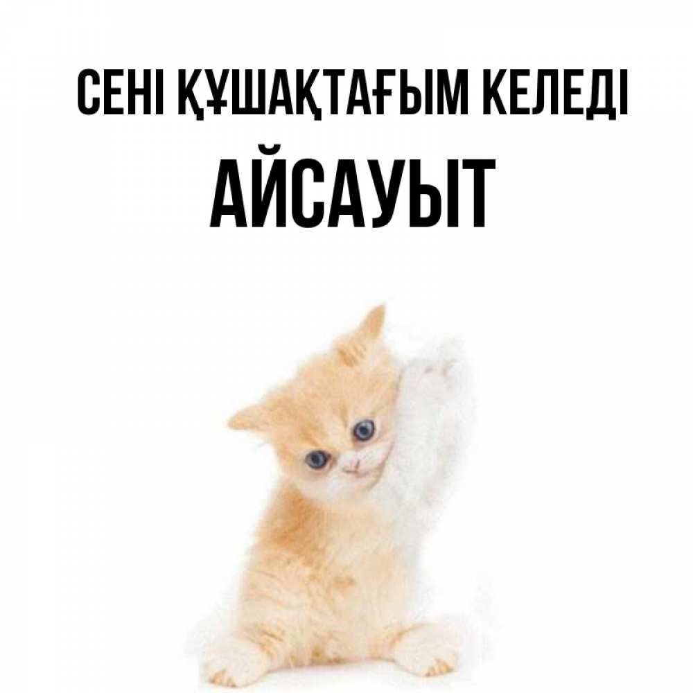 Күн сайын ашық хат с именем, Айсауыт сені құшақтағым келеді я хочу очень скорее обнимаешек Онлайн тегін жүктеп алу тілектері бар керемет карта 