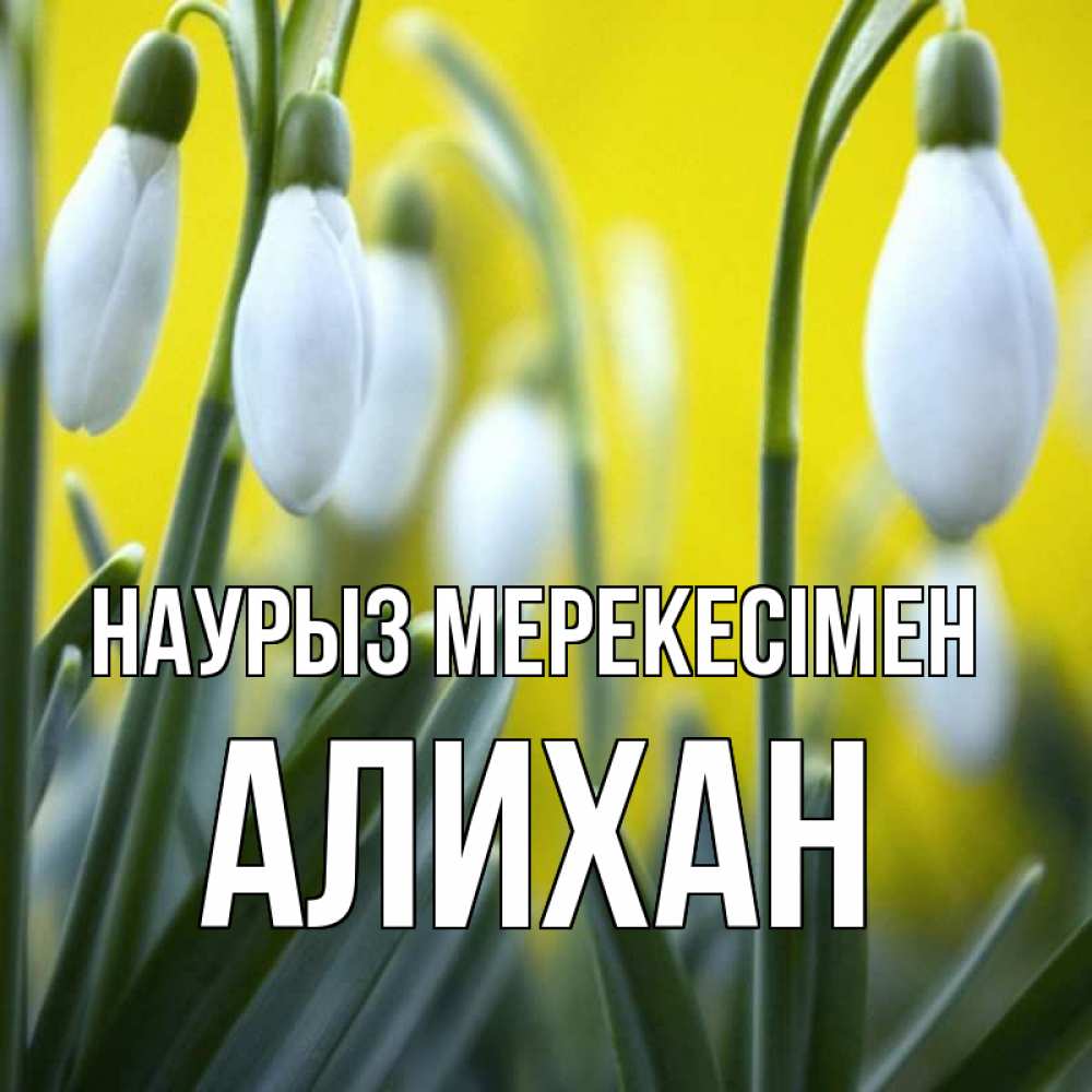 Күн сайын ашық хат с именем, Алихан Наурыз мерекесімен весенние цветы Онлайн тегін жүктеп алу тілектері бар керемет карта 