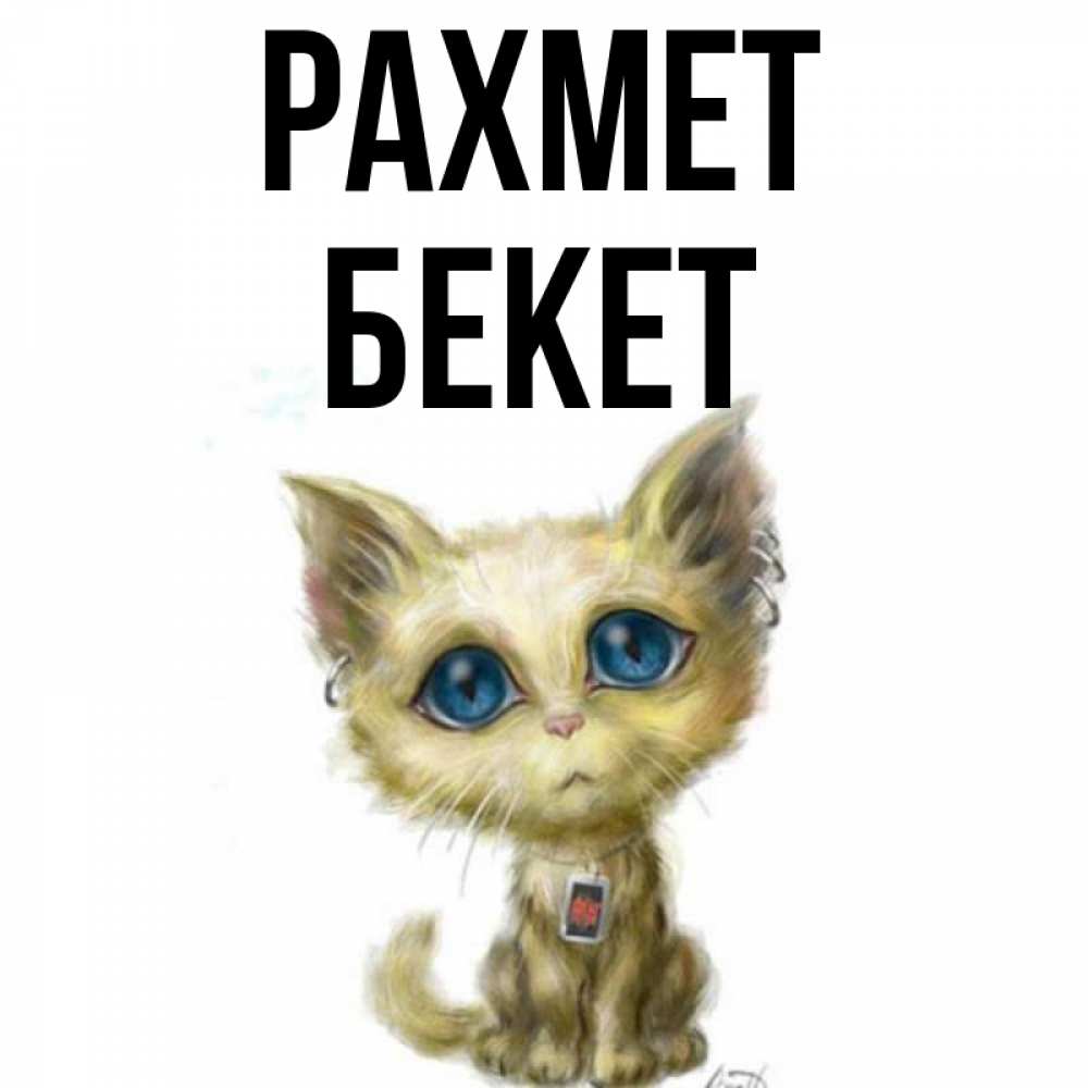 Күн сайын ашық хат с именем, Бекет рахмет рисованный кот благодарит вас Онлайн тегін жүктеп алу тілектері бар керемет карта 