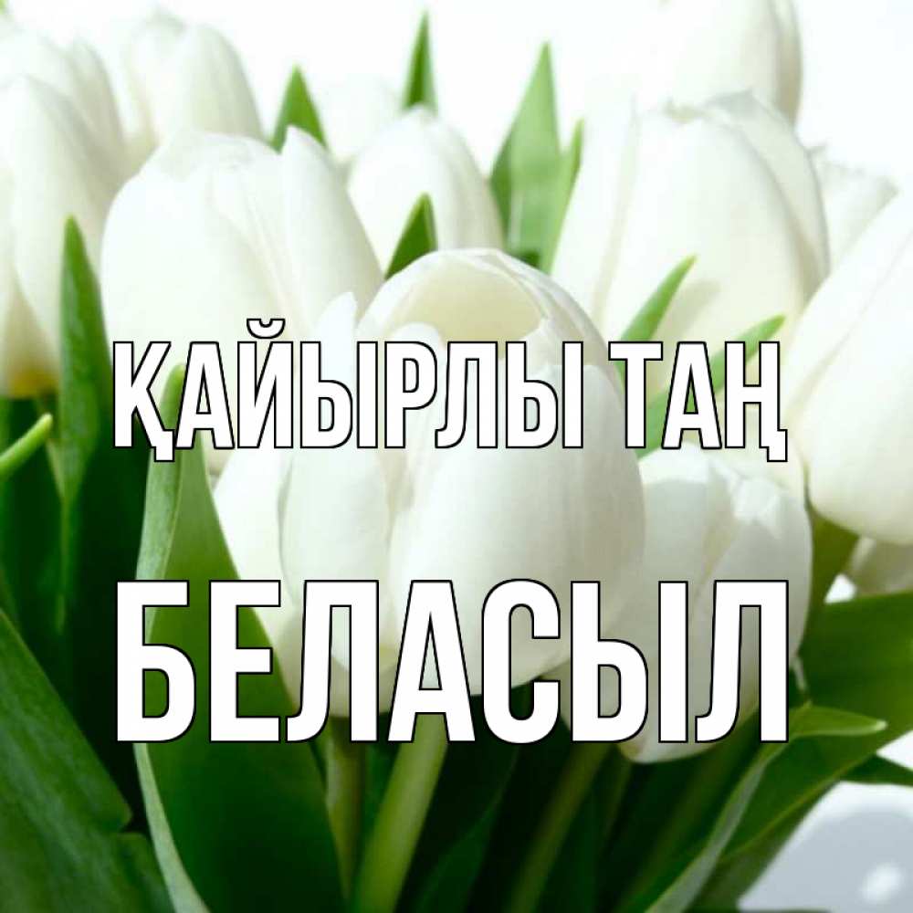 Күн сайын ашық хат с именем, Беласыл Қайырлы таң открытки на каждый день по именам Онлайн тегін жүктеп алу тілектері бар керемет карта 