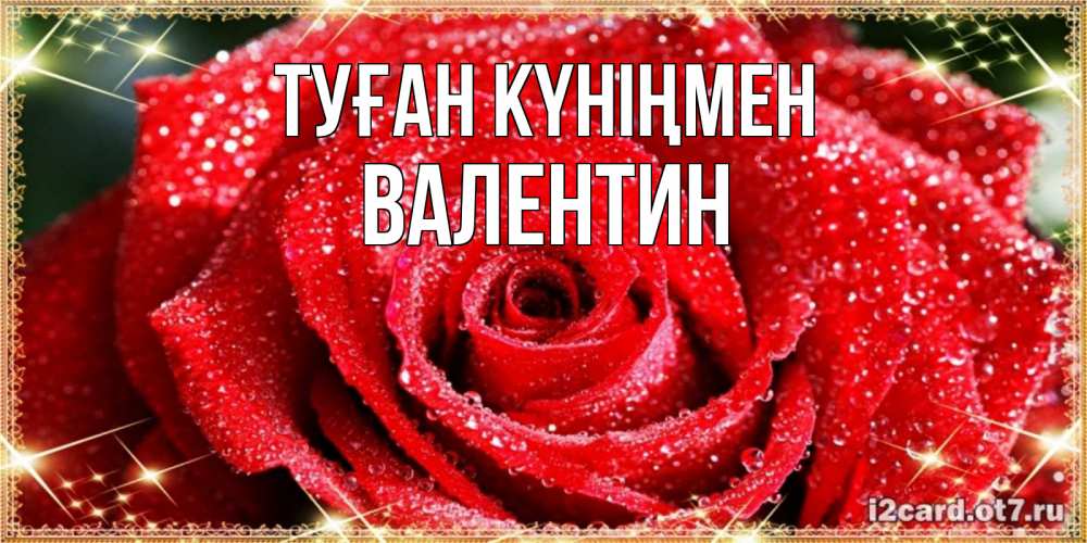 Күн сайын ашық хат с именем, Валентин Туған күніңмен роса и роза. открытка с красивой розой Онлайн тегін жүктеп алу тілектері бар керемет карта 