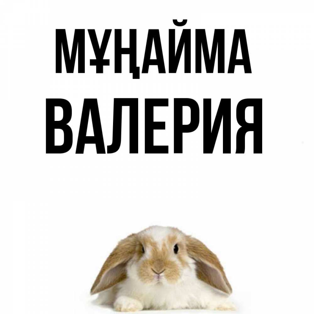 Күн сайын ашық хат с именем, Валерия Мұңайма коричнево белый заяц с большими ушками Онлайн тегін жүктеп алу тілектері бар керемет карта 
