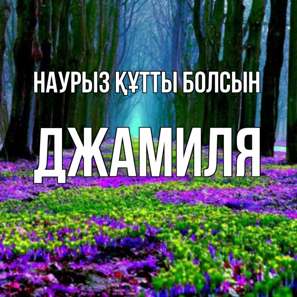 Күн сайын ашық хат с именем, Джамиля Наурыз құтты болсын фиолетовые цветы в лесу 1 Онлайн тегін жүктеп алу тілектері бар керемет карта 
