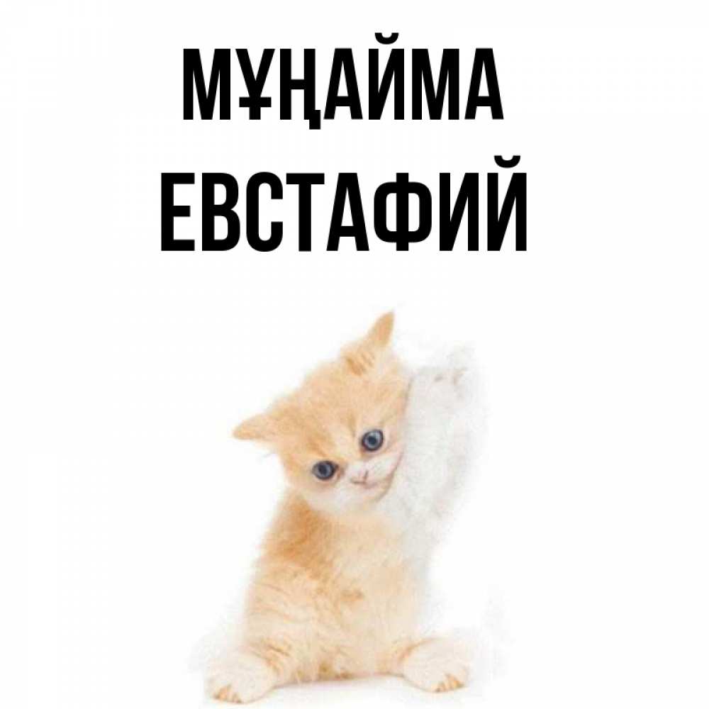 Күн сайын ашық хат с именем, Евстафий Мұңайма просящий кот Онлайн тегін жүктеп алу тілектері бар керемет карта 