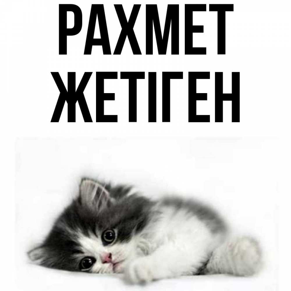 Күн сайын ашық хат с именем, Жетіген рахмет черный и белый кот Онлайн тегін жүктеп алу тілектері бар керемет карта 