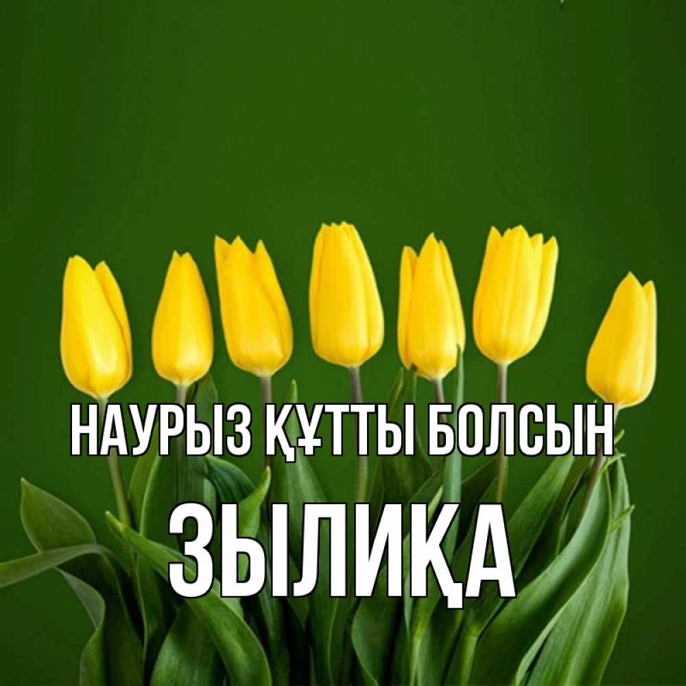 Күн сайын ашық хат с именем, ЗЫЛИҚА Наурыз құтты болсын желтого цвета 3 Онлайн тегін жүктеп алу тілектері бар керемет карта 