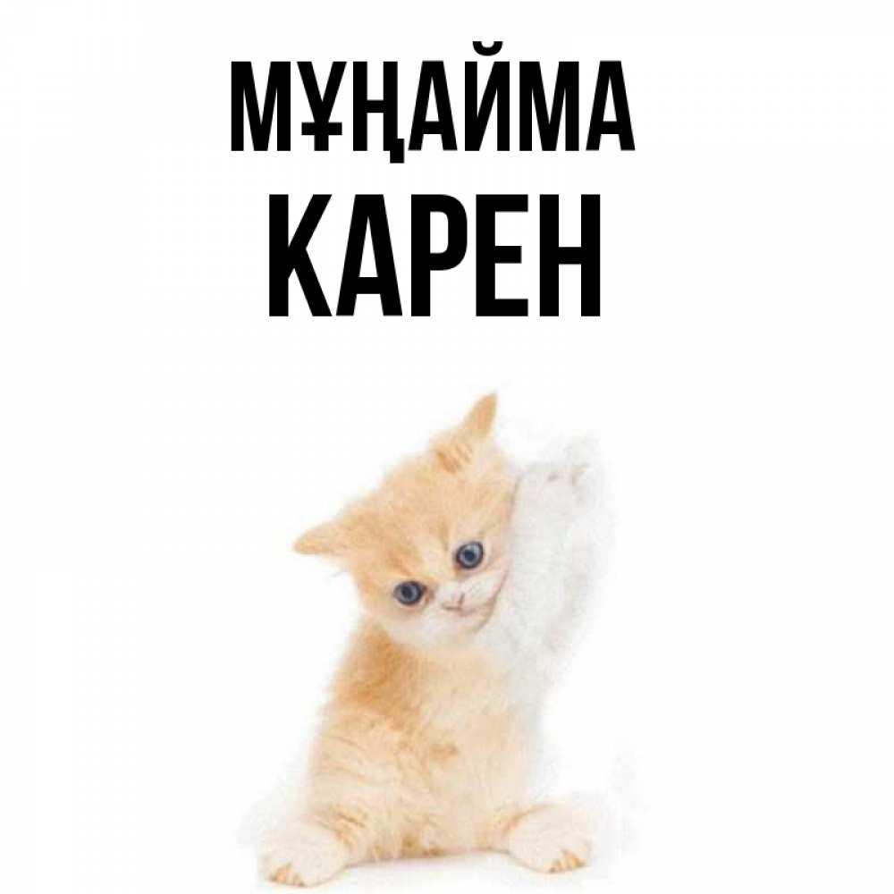 Күн сайын ашық хат с именем, Карен Мұңайма просящий кот Онлайн тегін жүктеп алу тілектері бар керемет карта 