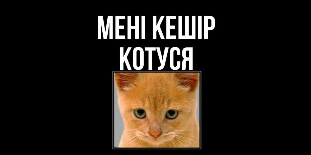 Күн сайын ашық хат с именем, Котуся Мені кешір рыжий грустный кот просит прощения Онлайн тегін жүктеп алу тілектері бар керемет карта 