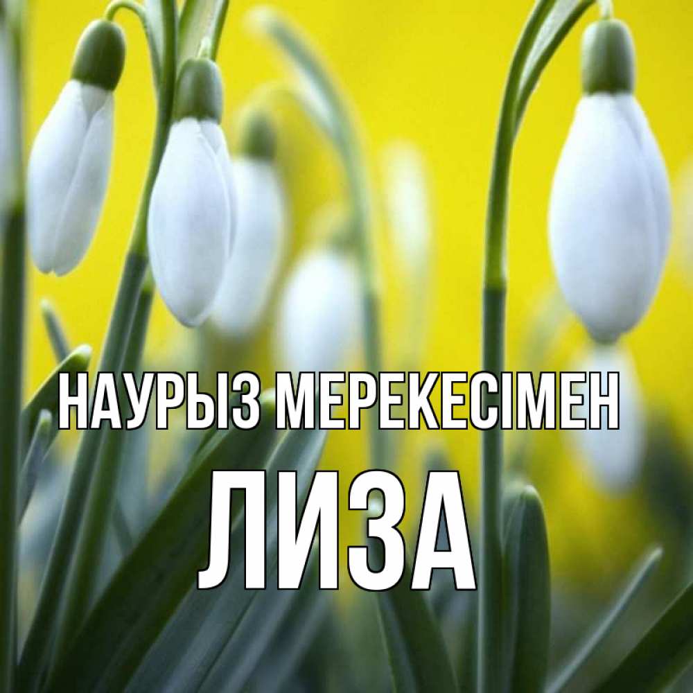 Күн сайын ашық хат с именем, Лиза Наурыз мерекесімен весенние цветы Онлайн тегін жүктеп алу тілектері бар керемет карта 