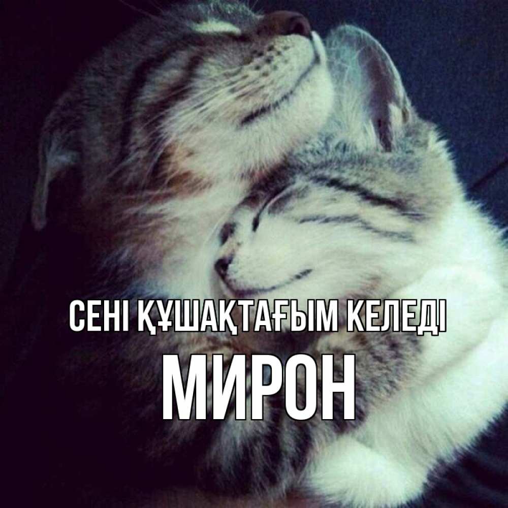 Күн сайын ашық хат с именем, МИРОН сені құшақтағым келеді полосатики Онлайн тегін жүктеп алу тілектері бар керемет карта 
